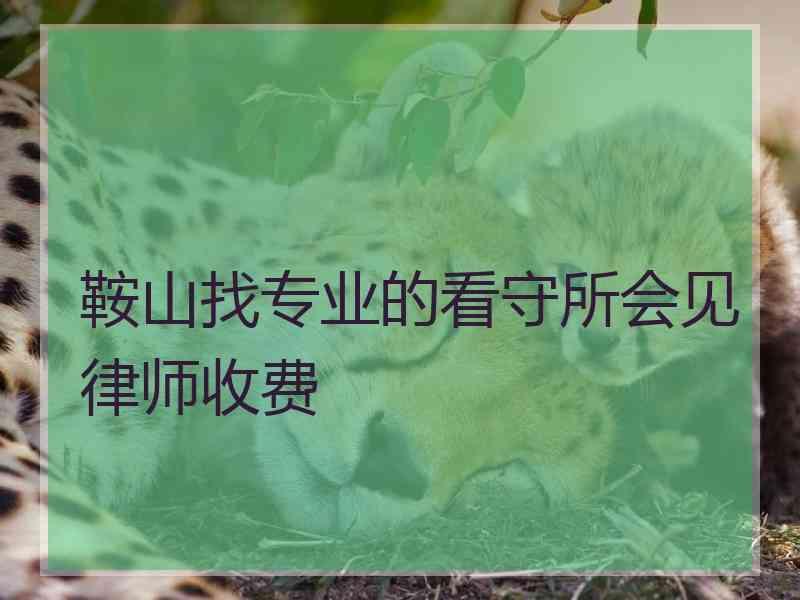 鞍山找专业的看守所会见律师收费