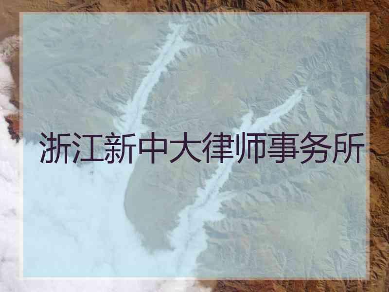 浙江新中大律师事务所