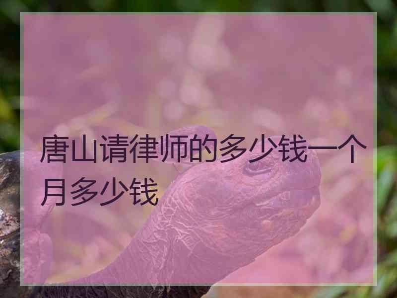 唐山请律师的多少钱一个月多少钱