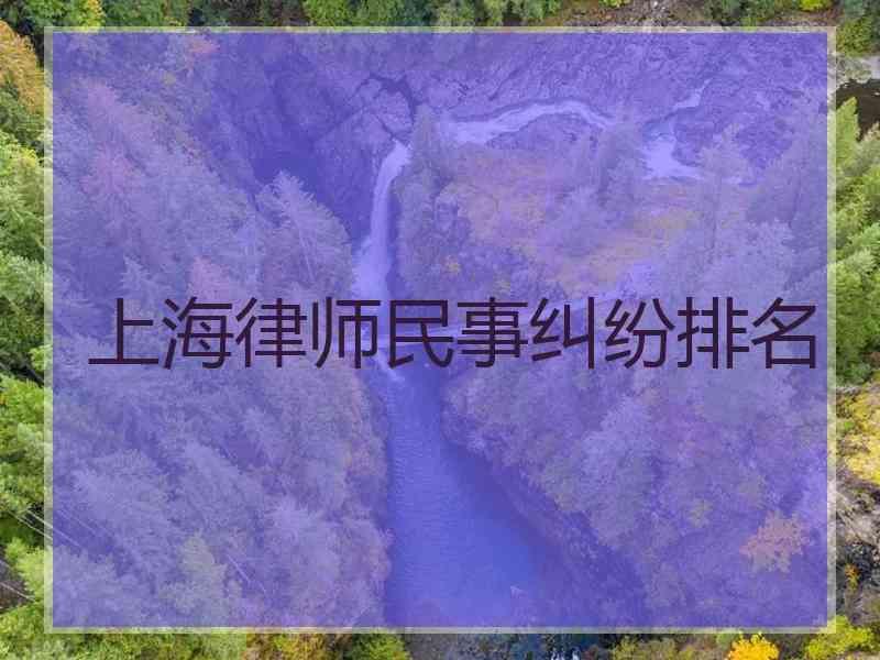 上海律师民事纠纷排名