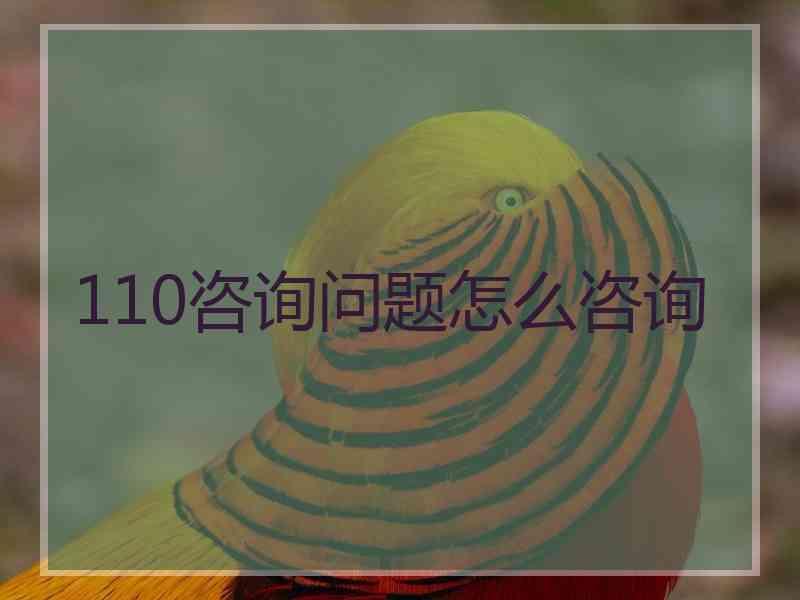 110咨询问题怎么咨询