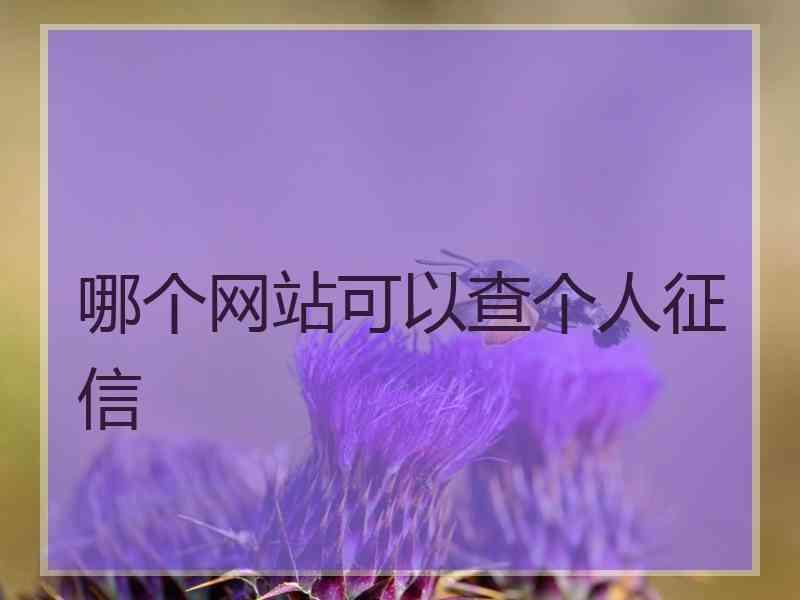 哪个网站可以查个人征信