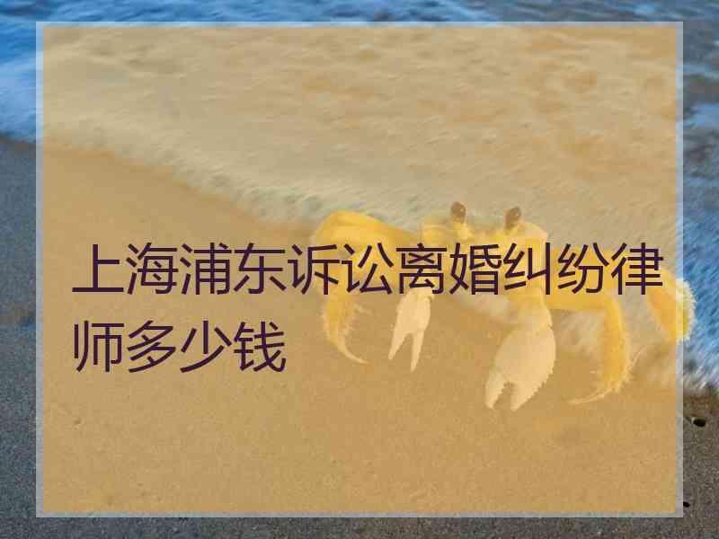 上海浦东诉讼离婚纠纷律师多少钱