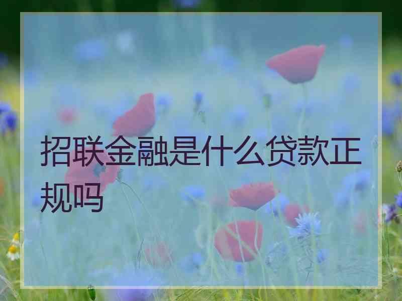 招联金融是什么贷款正规吗