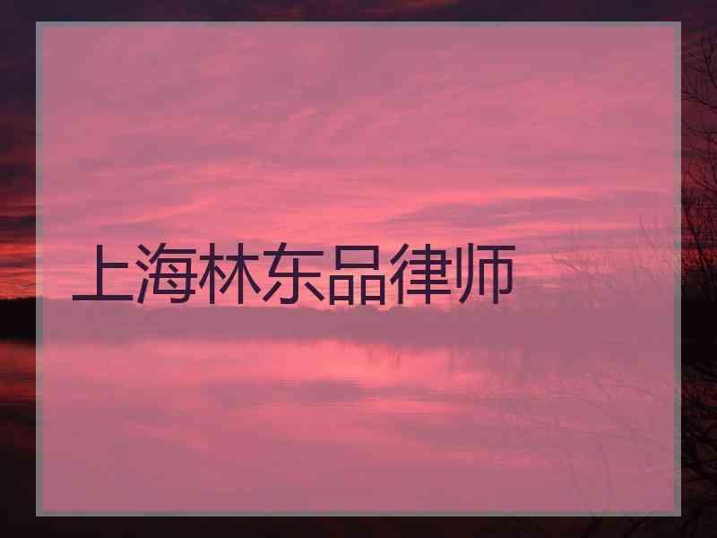 上海林东品律师