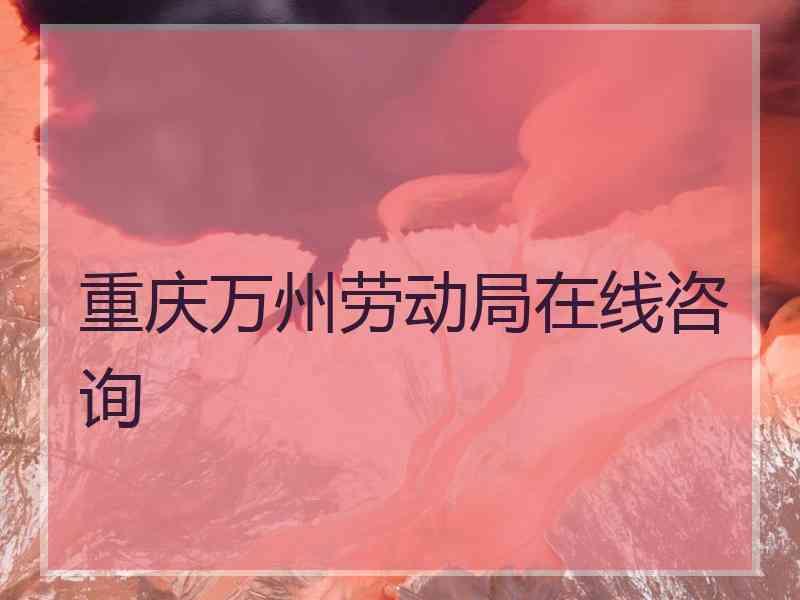 重庆万州劳动局在线咨询