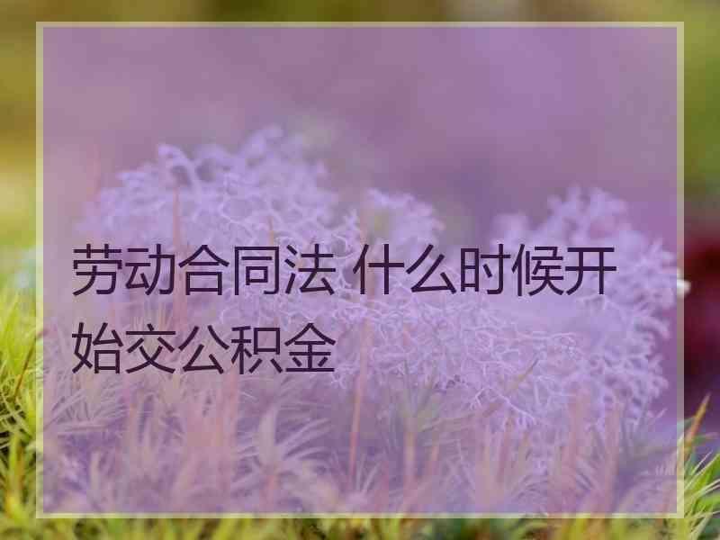 劳动合同法 什么时候开始交公积金