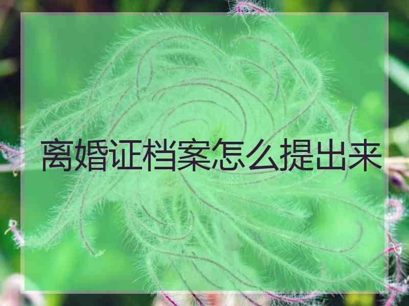 离婚证档案怎么提出来