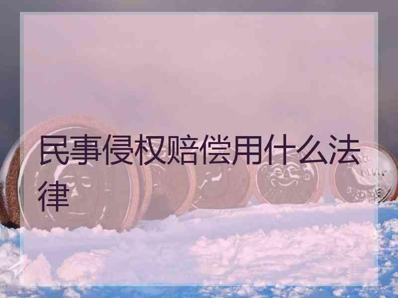 民事侵权赔偿用什么法律