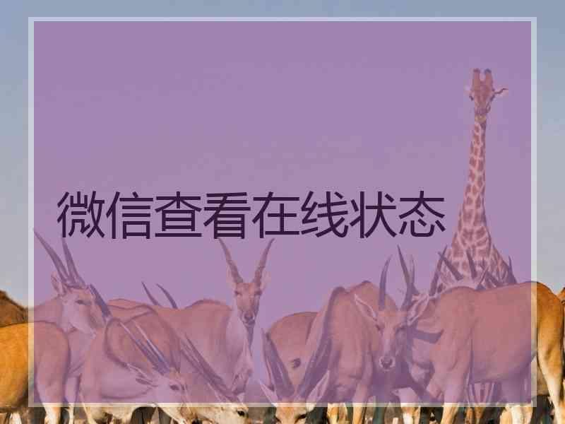 微信查看在线状态