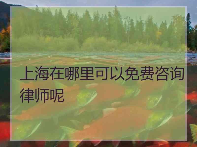 上海在哪里可以免费咨询律师呢