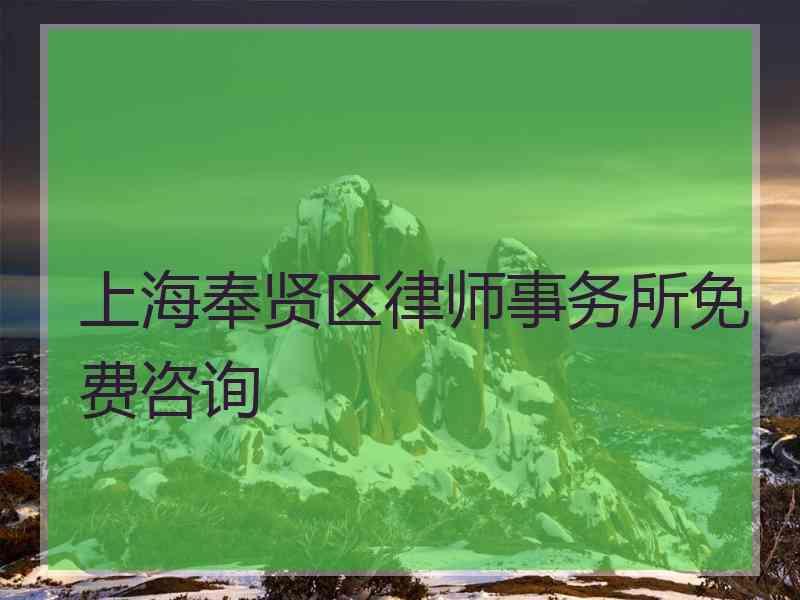 上海奉贤区律师事务所免费咨询