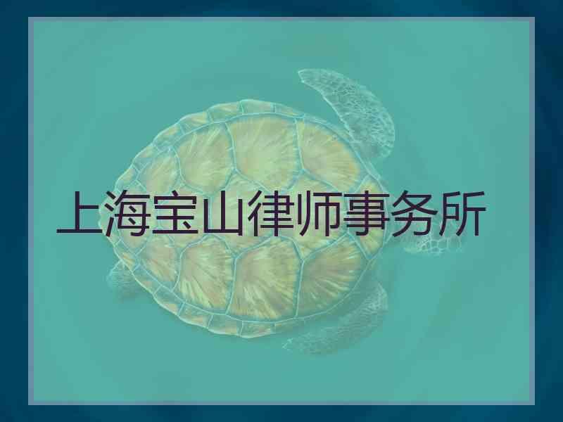 上海宝山律师事务所