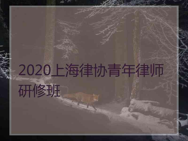 2020上海律协青年律师研修班