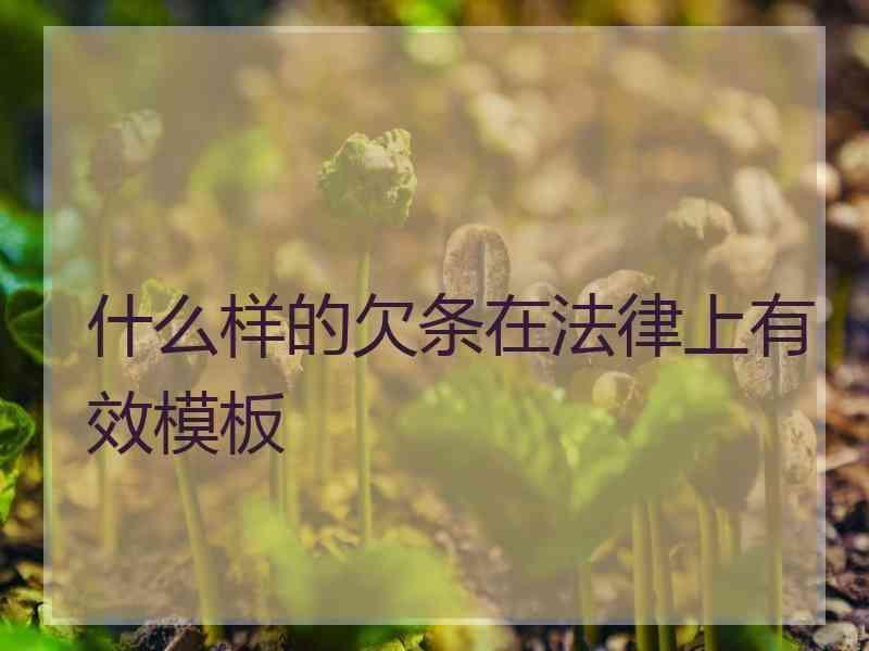 什么样的欠条在法律上有效模板