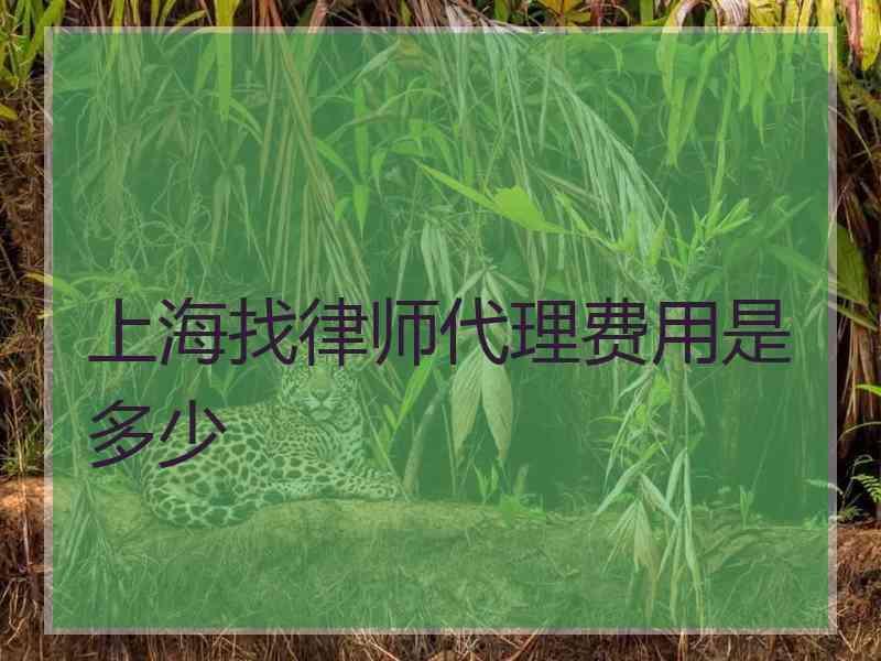 上海找律师代理费用是多少