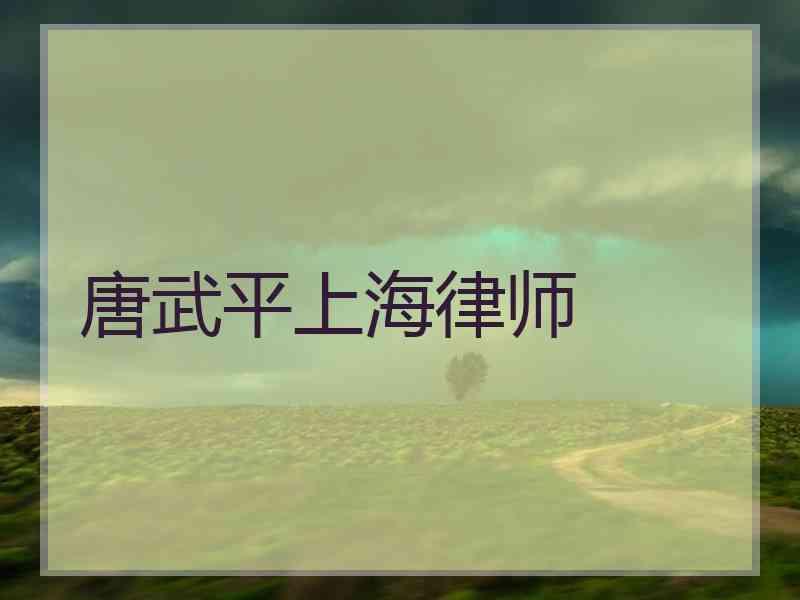 唐武平上海律师