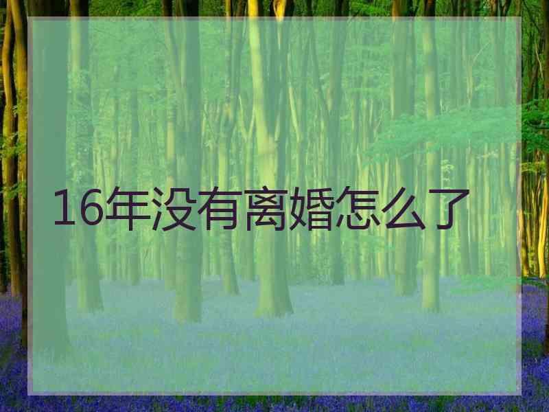 16年没有离婚怎么了