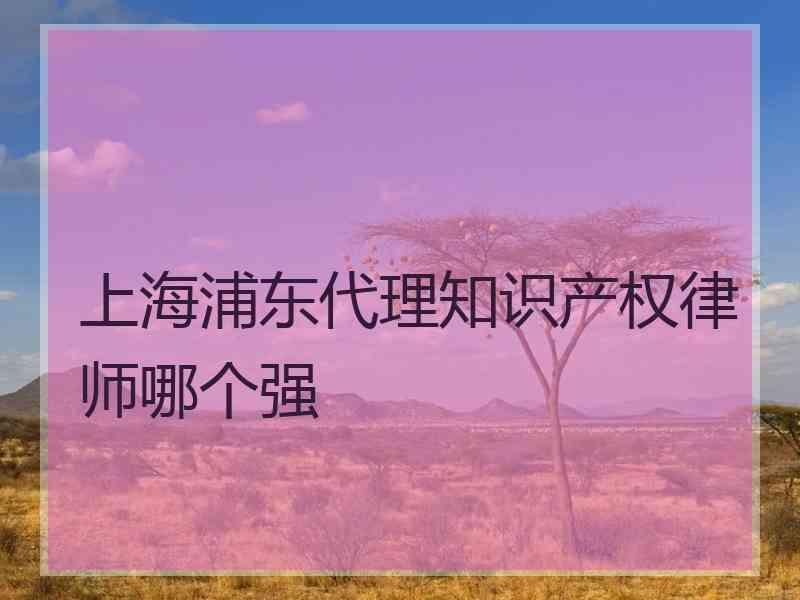 上海浦东代理知识产权律师哪个强