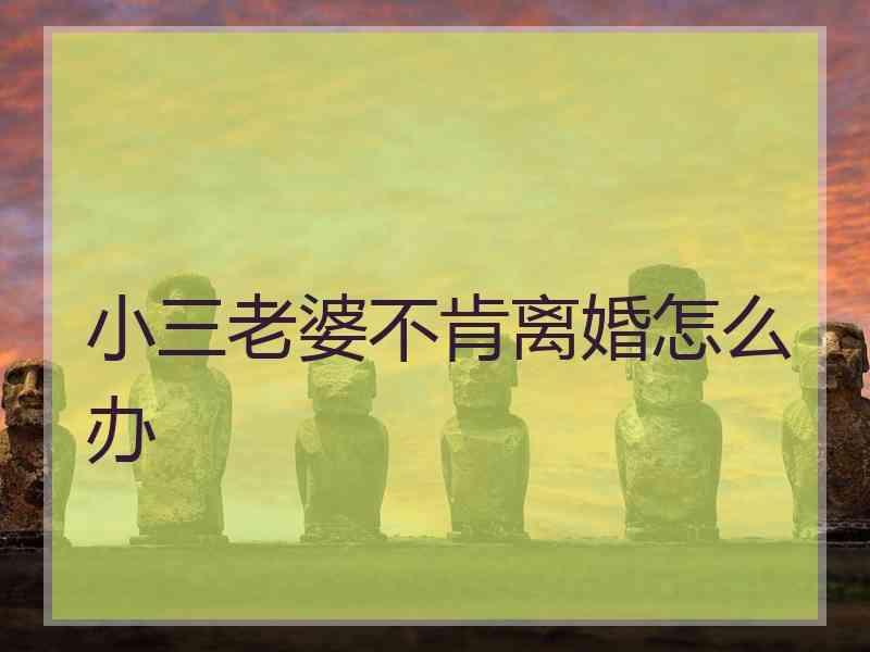 小三老婆不肯离婚怎么办