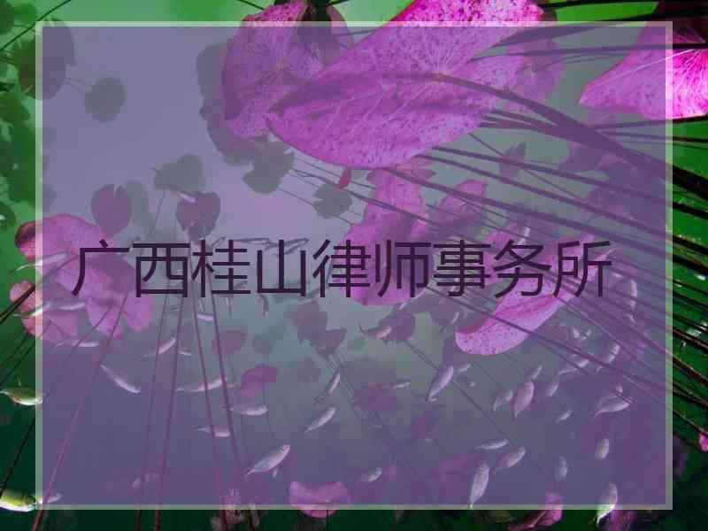 广西桂山律师事务所