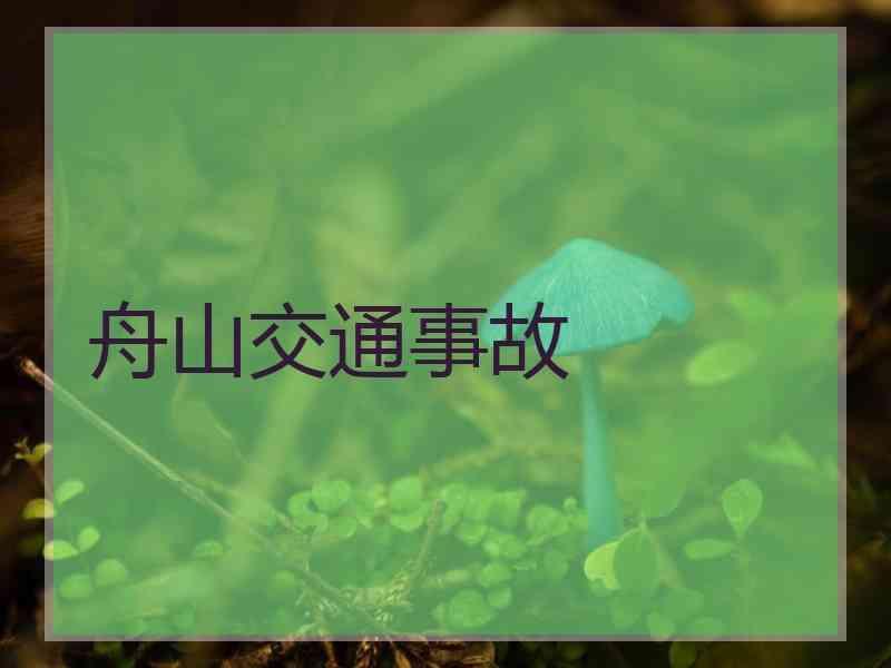 舟山交通事故