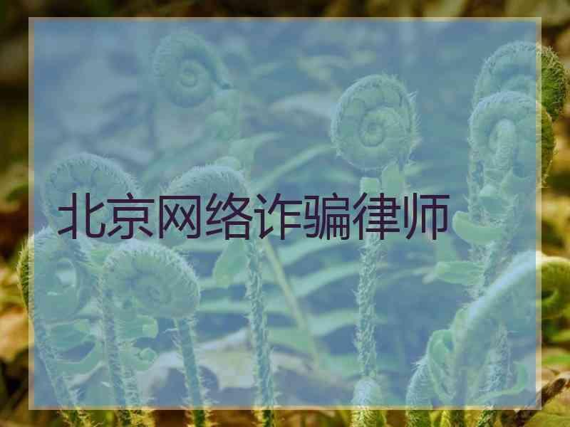 北京网络诈骗律师