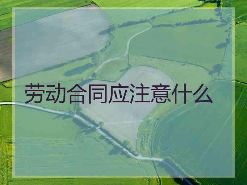劳动合同应注意什么