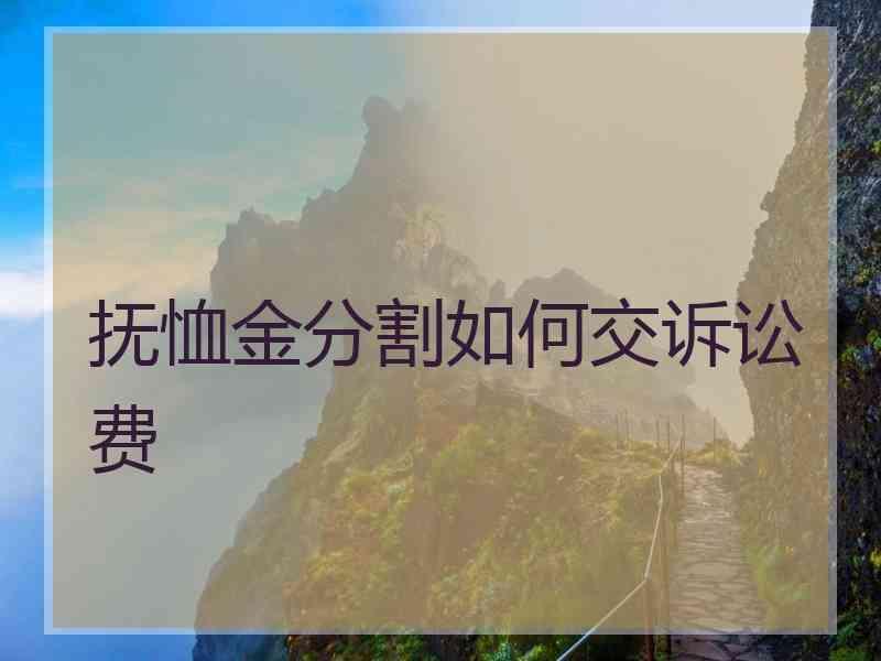 抚恤金分割如何交诉讼费