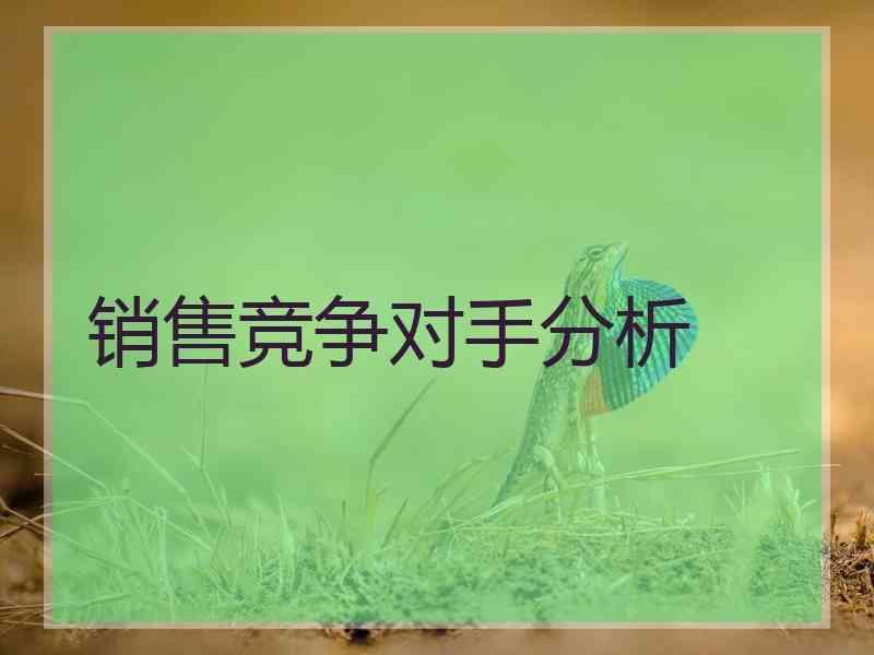销售竞争对手分析
