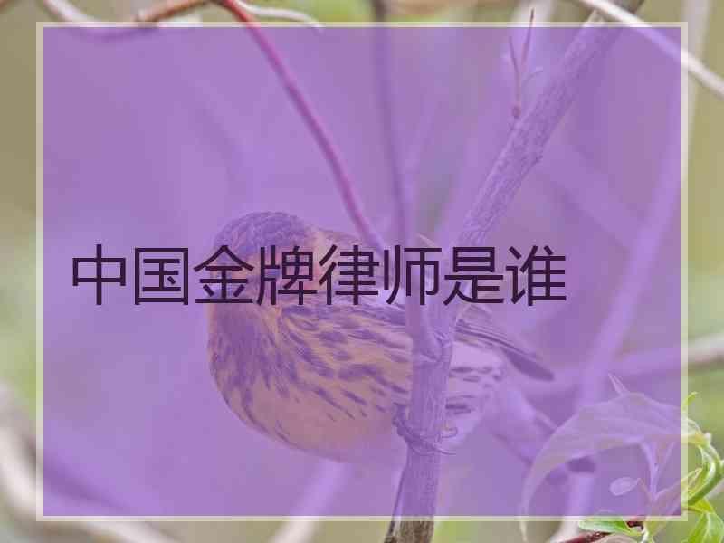 中国金牌律师是谁