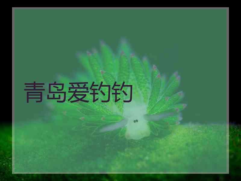 青岛爱钓钓