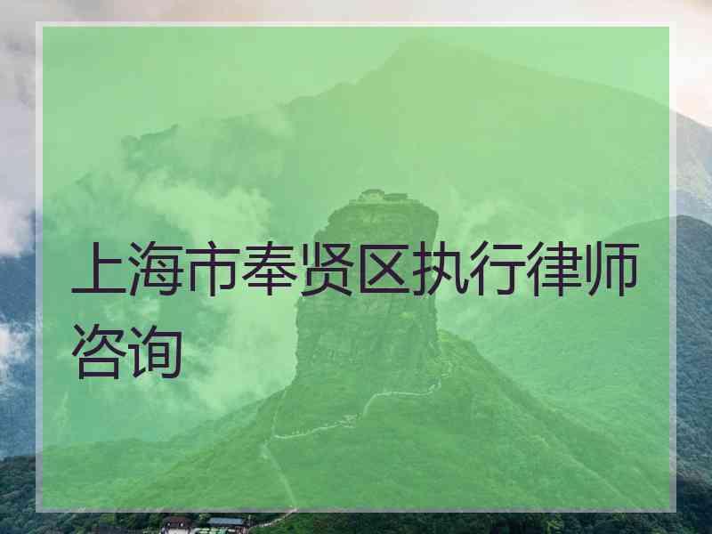 上海市奉贤区执行律师咨询