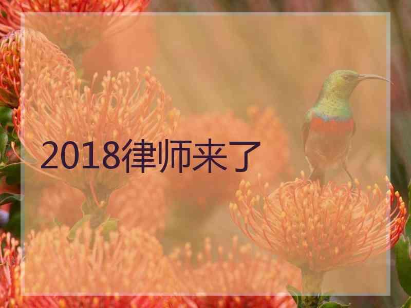 2018律师来了