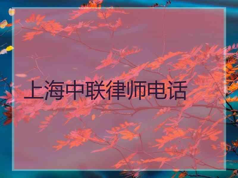 上海中联律师电话