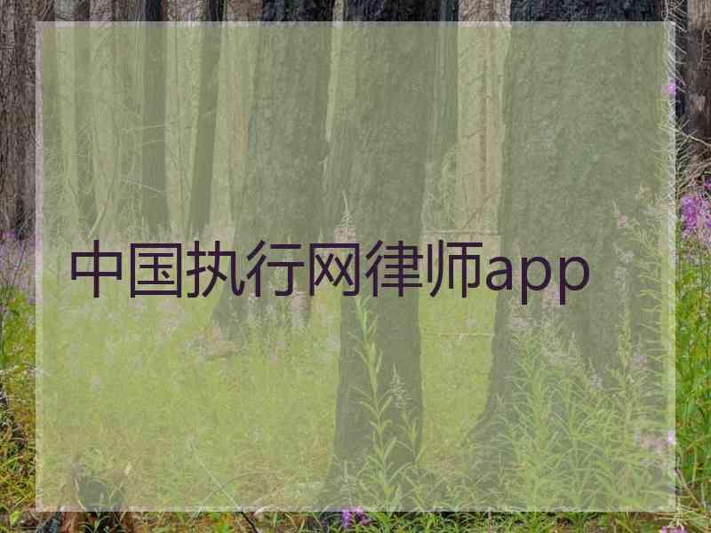 中国执行网律师app