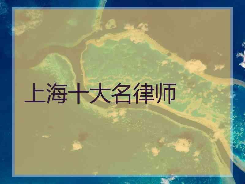 上海十大名律师