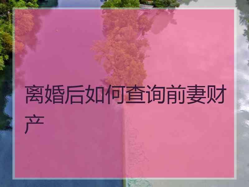 离婚后如何查询前妻财产