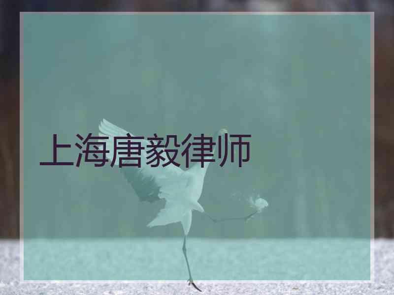 上海唐毅律师
