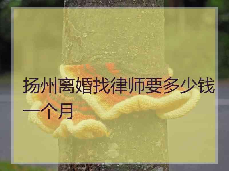 扬州离婚找律师要多少钱一个月