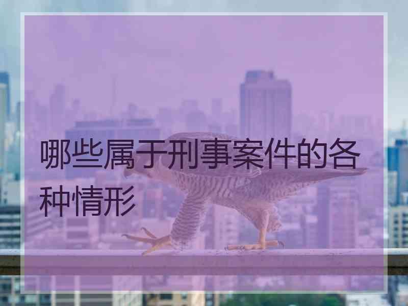 哪些属于刑事案件的各种情形