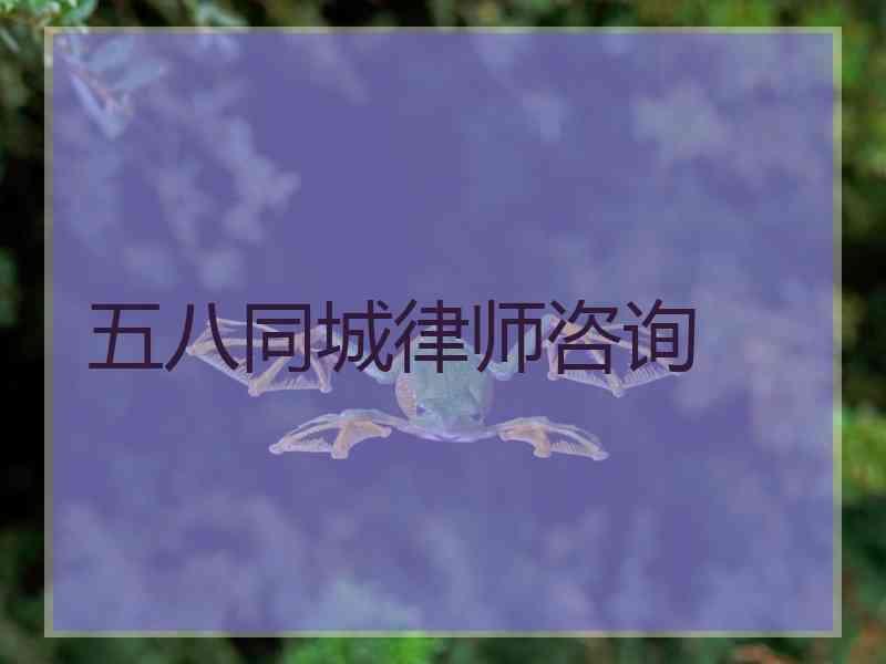 五八同城律师咨询