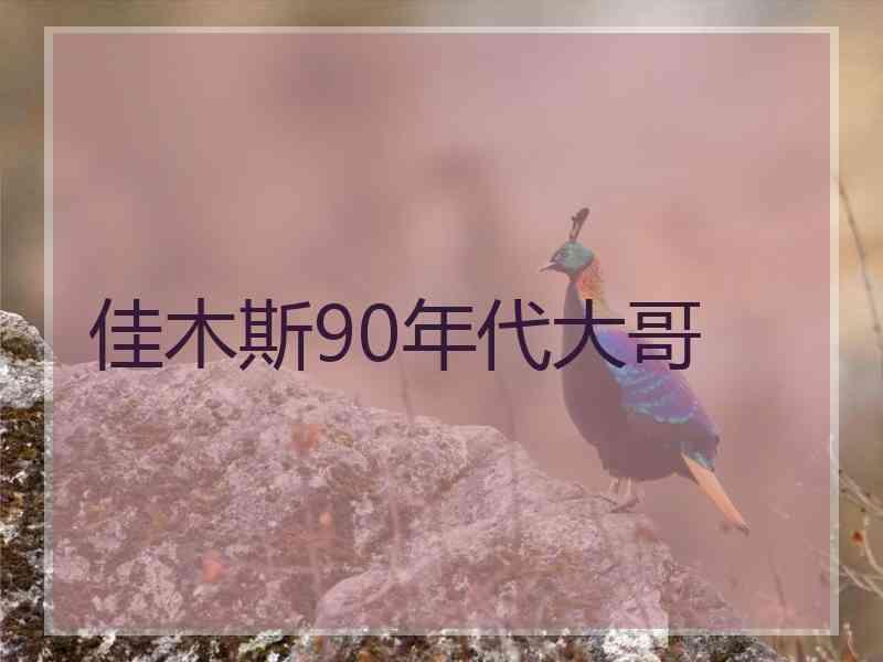 佳木斯90年代大哥