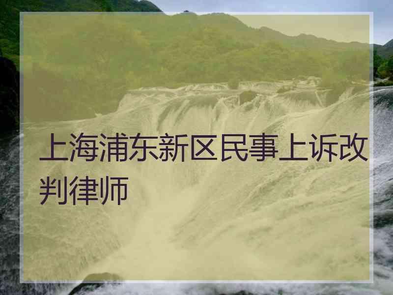 上海浦东新区民事上诉改判律师