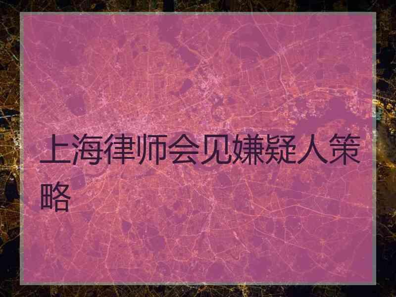 上海律师会见嫌疑人策略