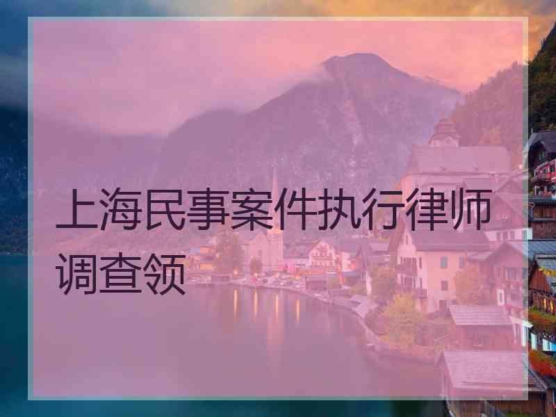 上海民事案件执行律师调查领