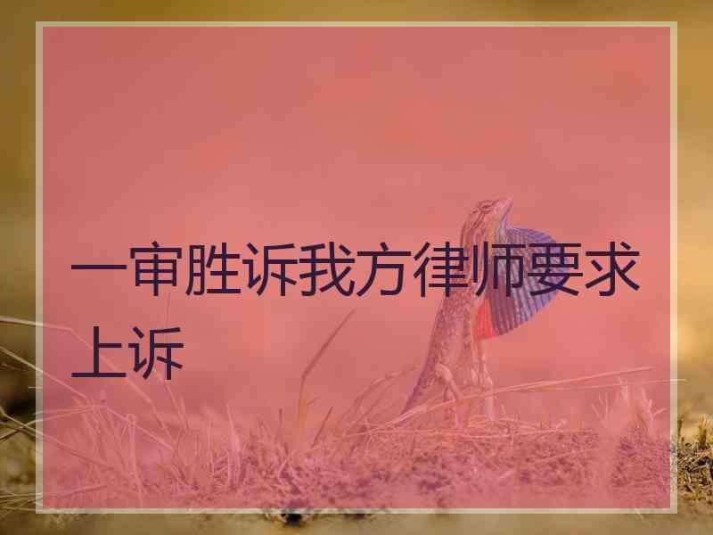 一审胜诉我方律师要求上诉