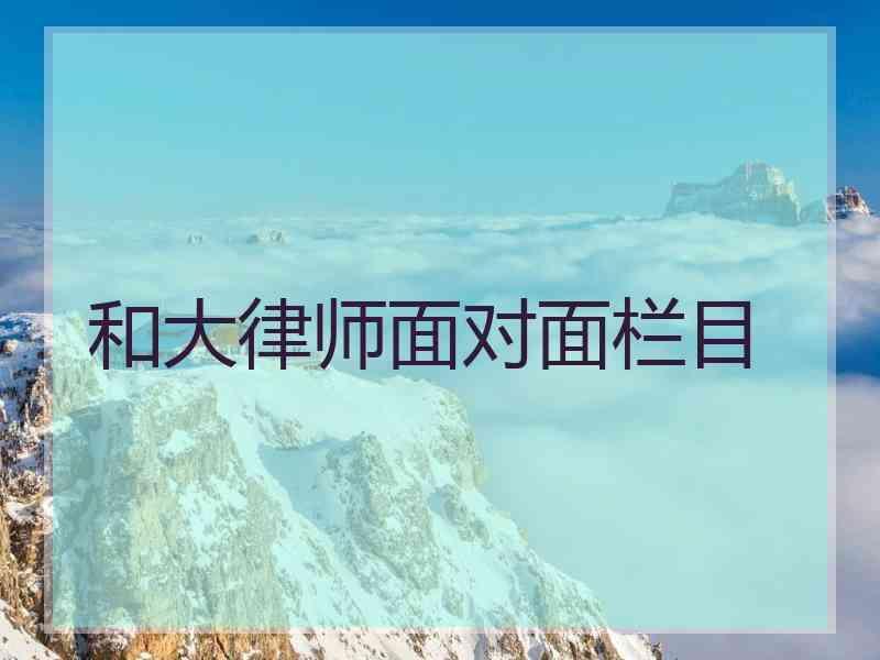 和大律师面对面栏目