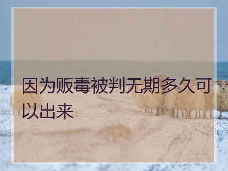 因为贩毒被判无期多久可以出来
