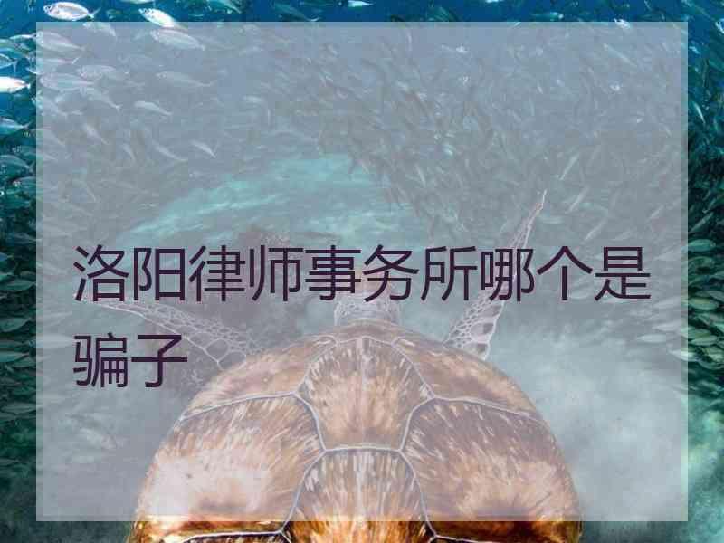 洛阳律师事务所哪个是骗子